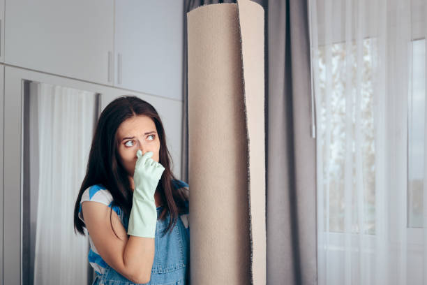 Georgiana, AL Mold Removal Company